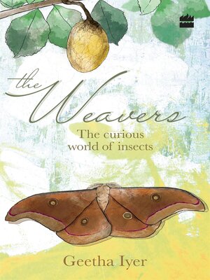 cover image of The Weavers